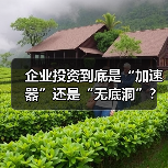 企业投资到底是“加速器”还是“无底洞”?看完这几点利弊再决定 企业投资到底是“加速器”还是“无底洞”?看完这几点利弊再决定